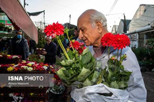 ایرانیان جهان