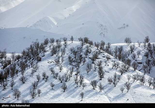 ندای لرستان