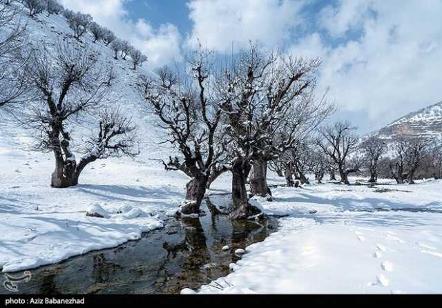 ندای لرستان