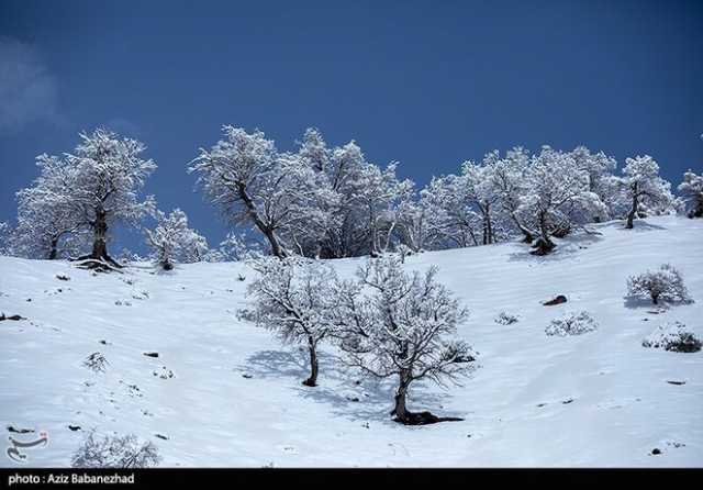 ندای لرستان