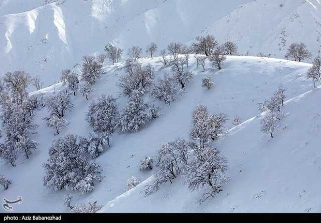 ندای لرستان