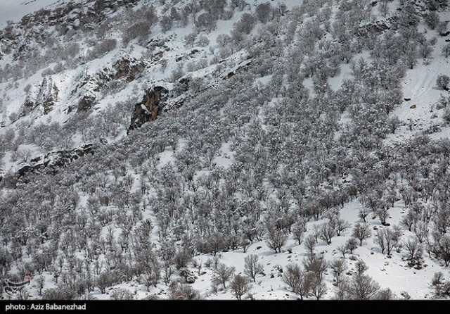 ندای لرستان