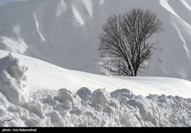 ندای لرستان