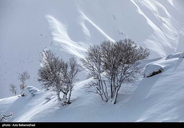 ندای لرستان