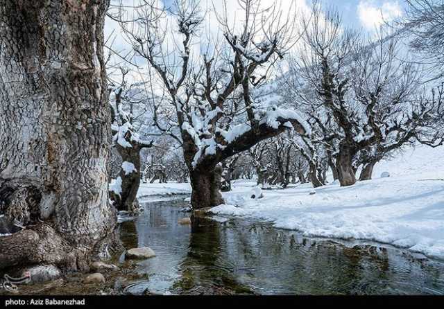 ندای لرستان