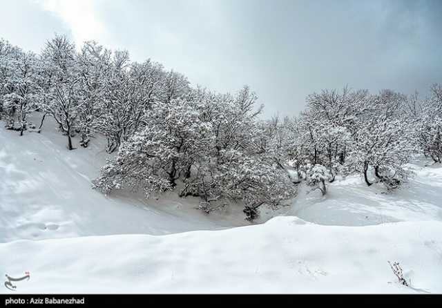 ندای لرستان