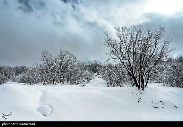 ندای لرستان