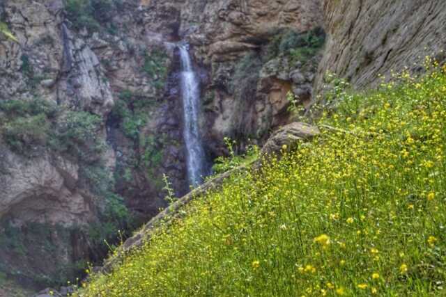 پیام آذری