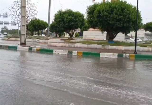 هواشناسی 1403/12/30/ باران و کاهش دما در آستانه نوروز