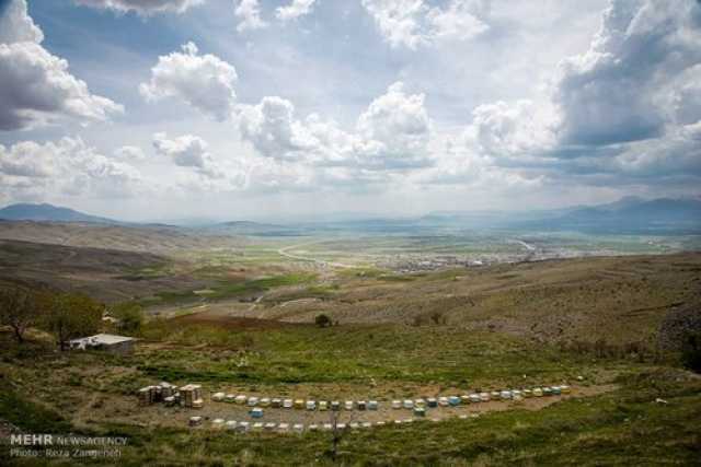 روستای | روستای فریازان بزرگترین روستای شهرستان تویسرکان یکی از مقصدهای  گردشگری و طبیعت گردی می باشد، روستای فریازان به فاصله 12 کیلومتری تویسرکان  قرار دارد، زمین های کشاورزی روستاهای فریازان و / #