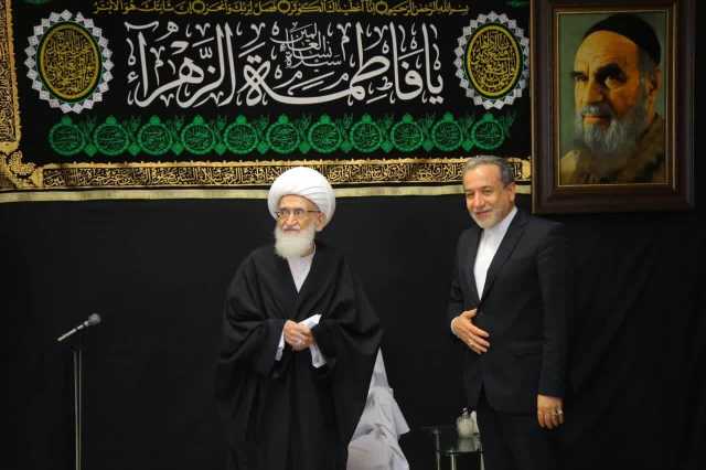 آیت الله نوری همدانی: تقویت جبهه مقاومت در برابر جنایات اسراییل امری لازم و ضروری است