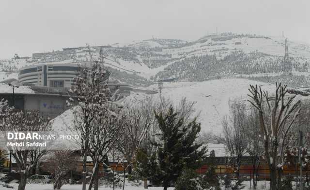 برف و باران در کشور/ تهران 3 درجه