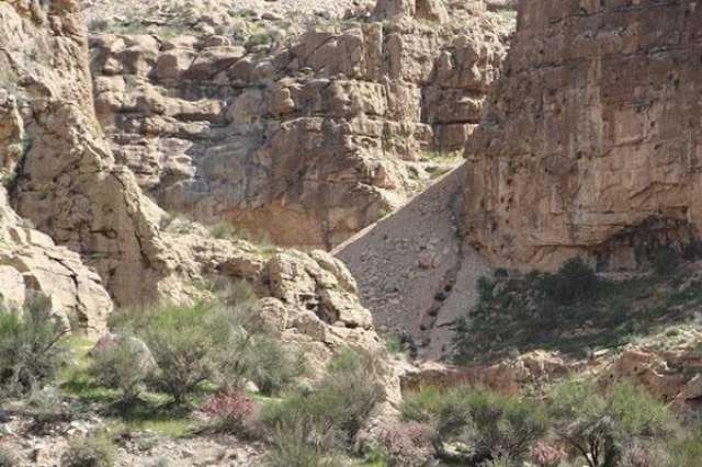 پیام فارس