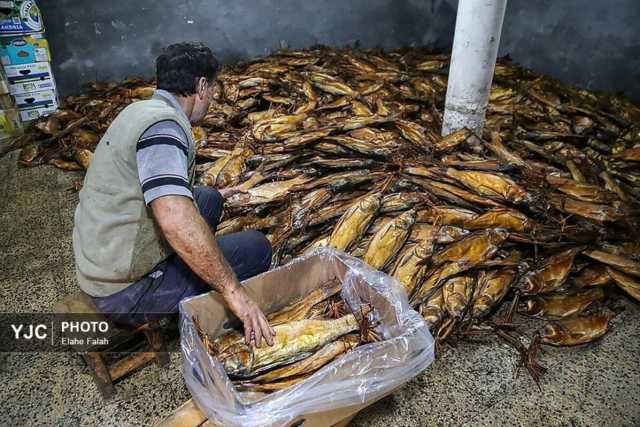 تولید ماهی دودی به روش سنتی در گیلان