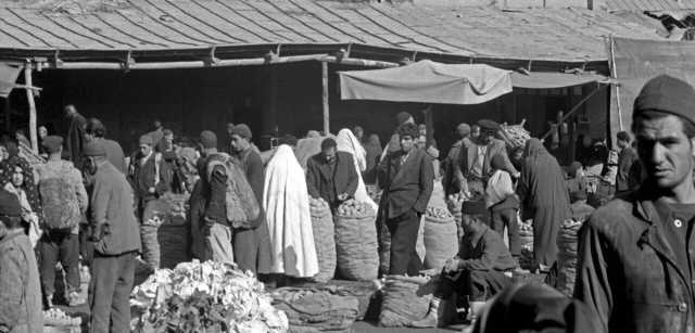 مرد تهرانی بخاطر حمله شپش‌ها کشته شد! + عکس