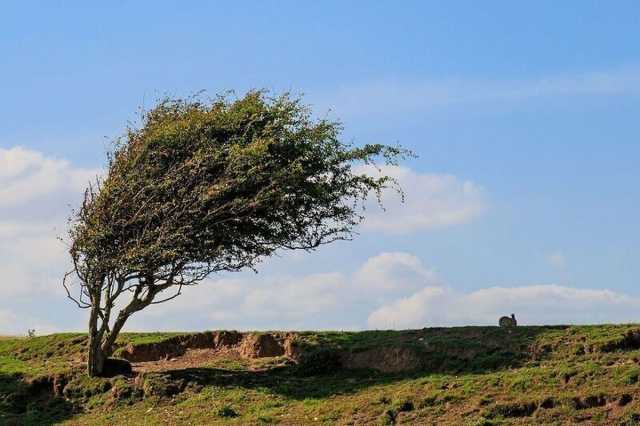 افزایش وزش باد شدید در لرستان