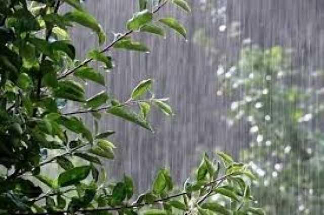پیش بینی آب و هوای خراسان جنوبی برای فردا شنبه 10 آذر 1403
