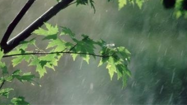 باد و باران مهمان امروز آسمان مازندران