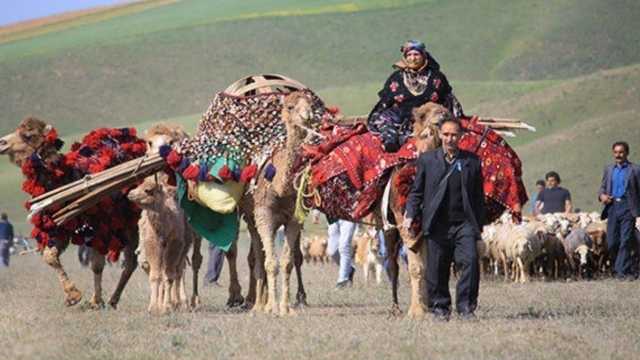 تامین 35 درصد گوشت قرمز آذربایجان شرقی توسط عشایر