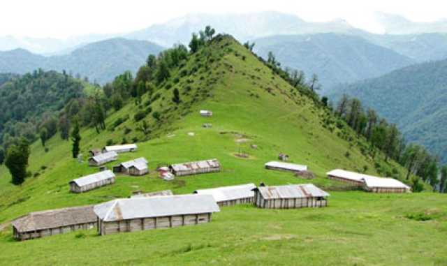 خبر یزد