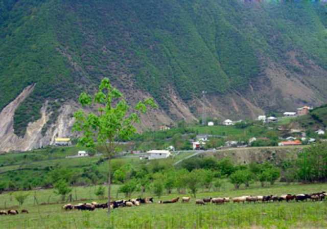 خبر یزد