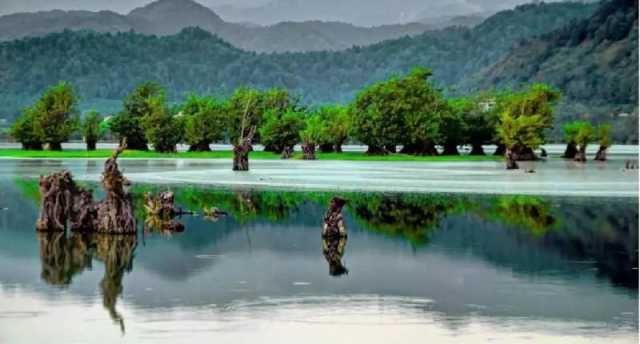 سفر به سرزمین توسکاهای شناور در «لوندویل»