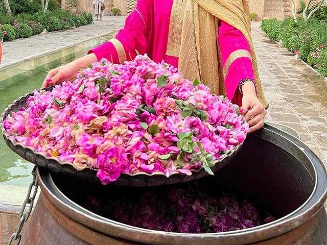 5 شهر رویایی برای گلاب گردی