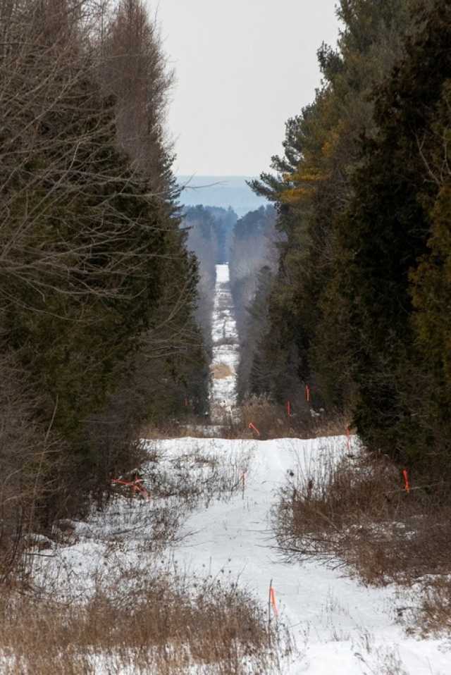 ایرانیان جهان