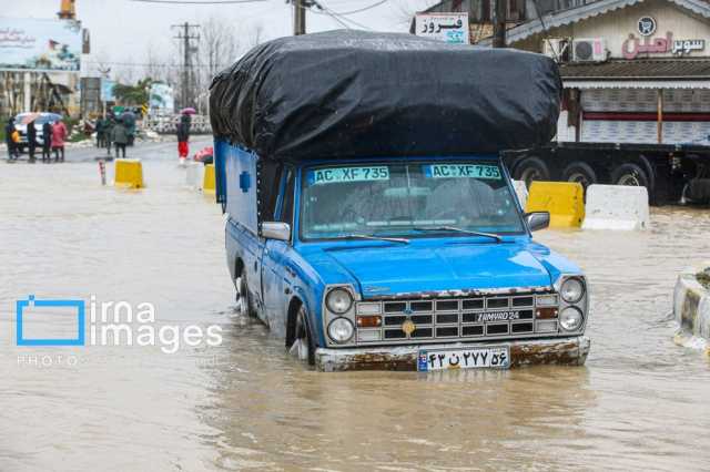 نسیم گیلان