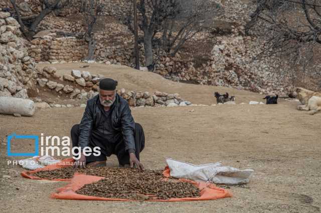 پیام خوزستان