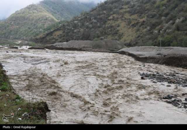 نسیم گیلان