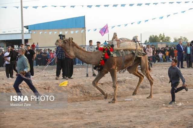 خبر یزد