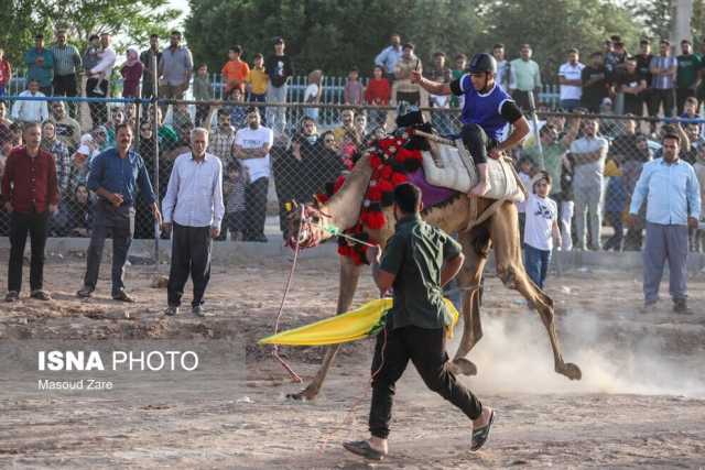 خبر یزد