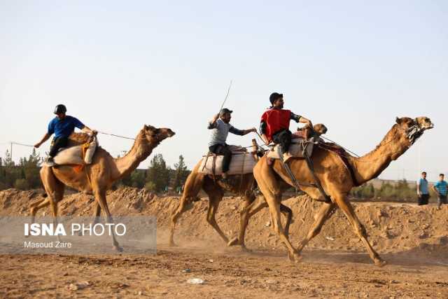 خبر یزد