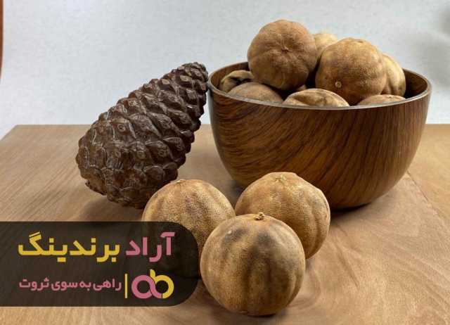 پیام فارس