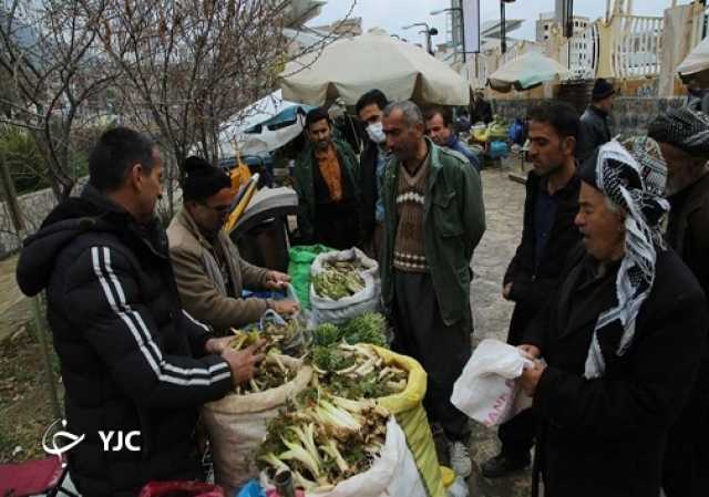 پیام آذری