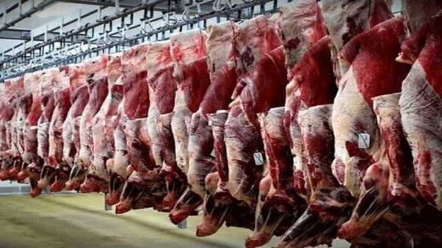 توزیع روزانه گوشت قزمز در لرستان