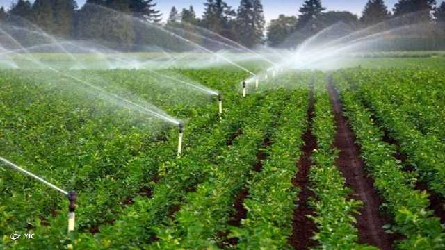 تحقق 90 درصدی برنامه الگوی کشت در آذربایجان غربی