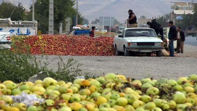 ضرورت تسریع در ساماندهی مراکز خرید میوه در آذربایجان غربی