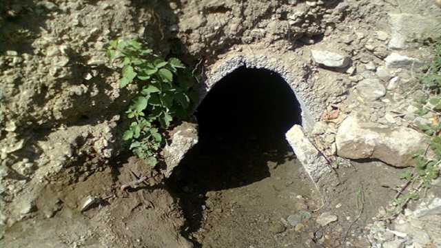 44 رشته قنات‌ در سبزوار احیا شد