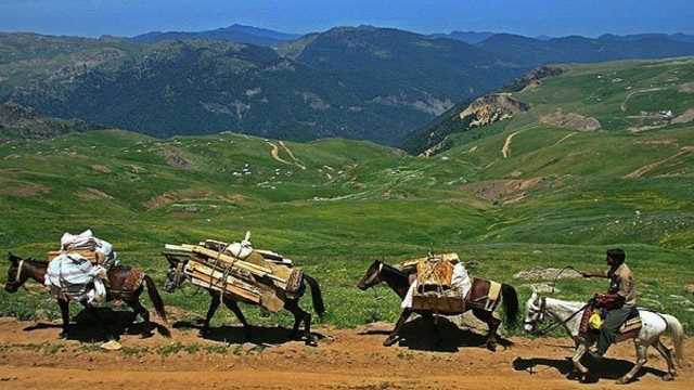 عشایر تا امروز مراتع چهارمحال و بختیاری را ترک کنند