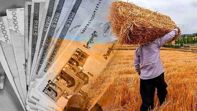 پرداخت 31 میلیارد مطالبه گندم‌کاران تا پایان مهرماه