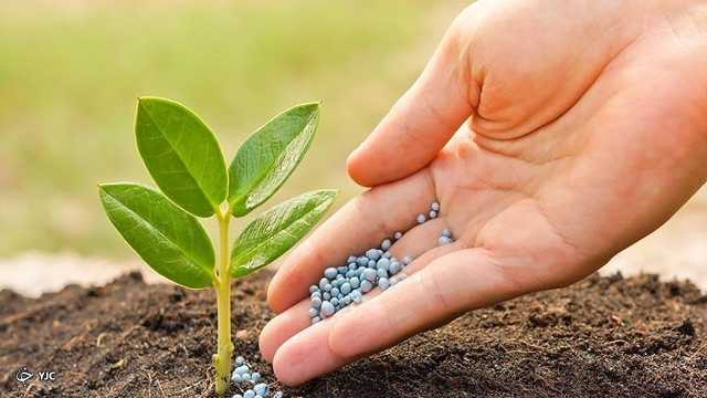 توزیع کود پاییزه در آذربایجان‌غربی 15 درصد افزایش یافت