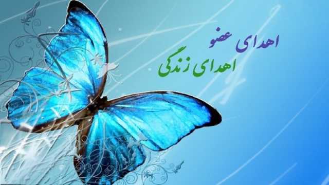 ۵۰۰ ورزشکار آذربایجان شرقی فرم اهدای عضو پر کردند