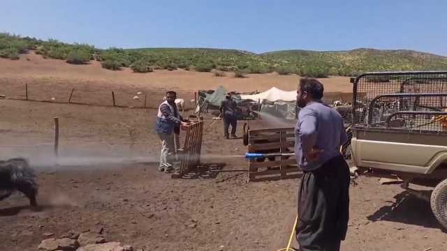 افزایش خدمات رسانی به عشایر با توسعه زیرساخت‌ها