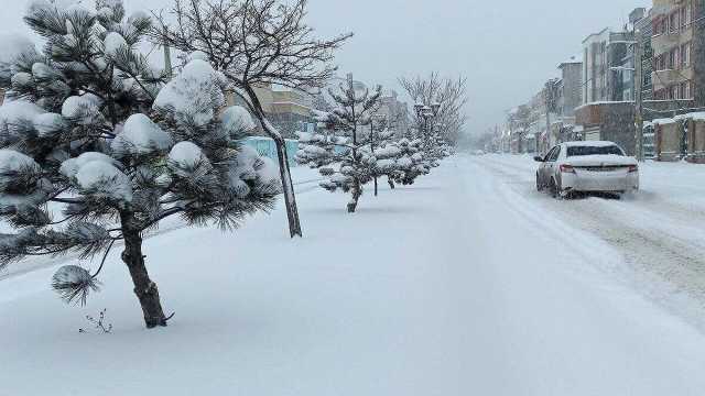 تشدید یخ‌بندان در کردستان/ دمای هوا 10 درجه سردتر می‌شود