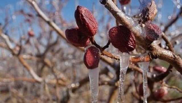 زندگی در دمای منفی 13 درجه و شهر یخ‌زده دلفان