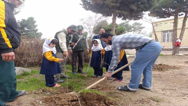 کاشت نهال توسط کودکان و نو نهالان صالح آبادی در هفته درختکاری + عکس