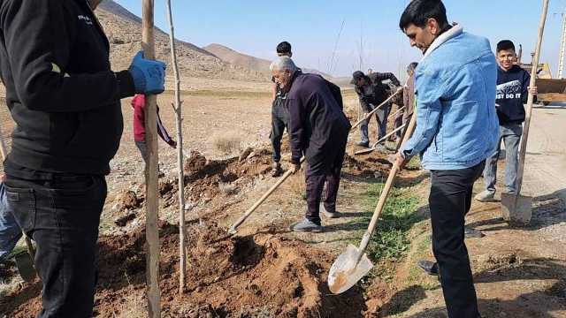 کاشت 400 اصله درخت در ورودی روستای سردر بخش چترود