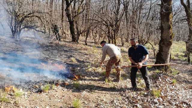 آتش‌سوزی در پارک ملی گلستان